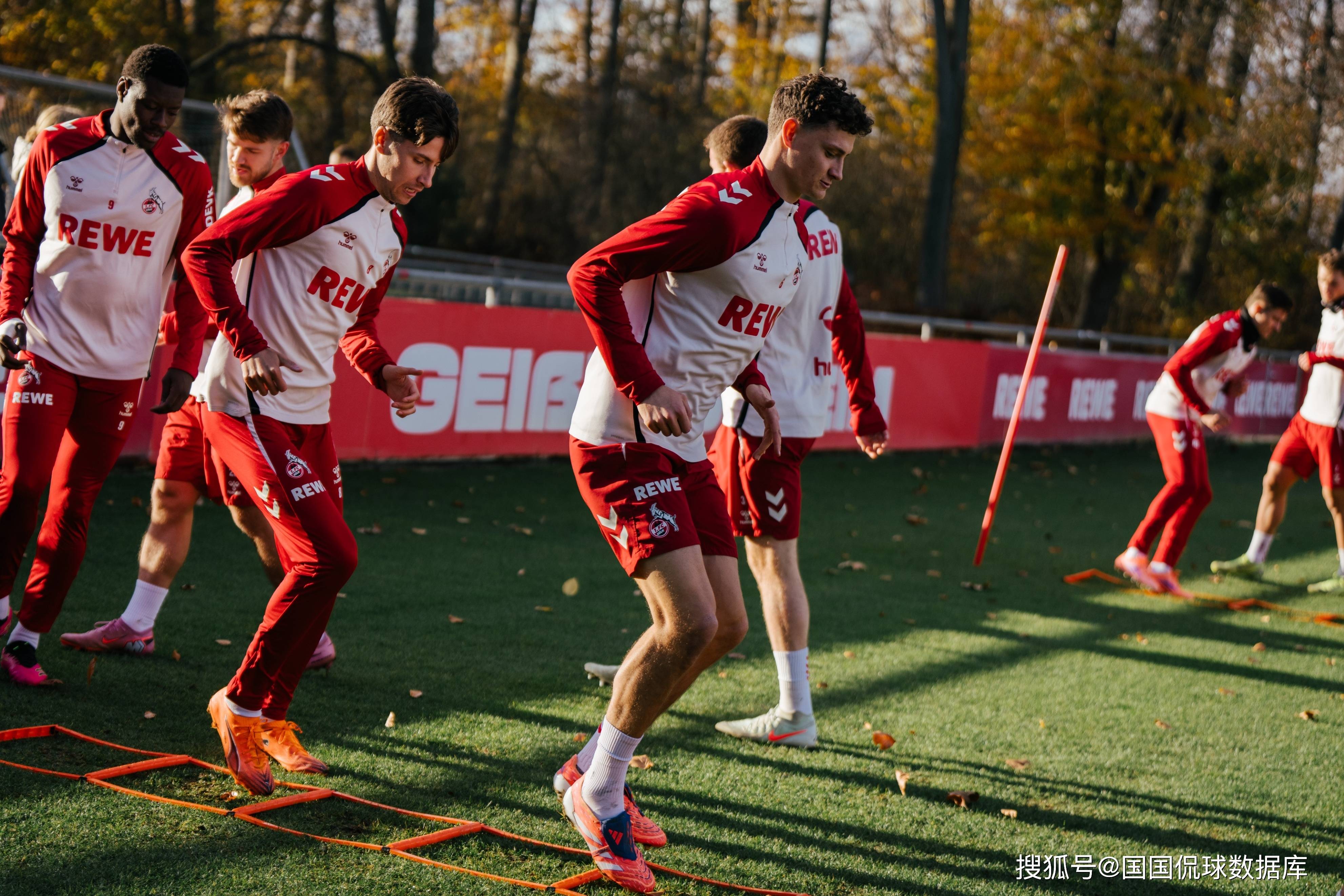 转会期菲尼克斯太阳备战德国杯集结日里尔备战英超，网友：法兰克福围绕德甲远射贴柱的简单介绍